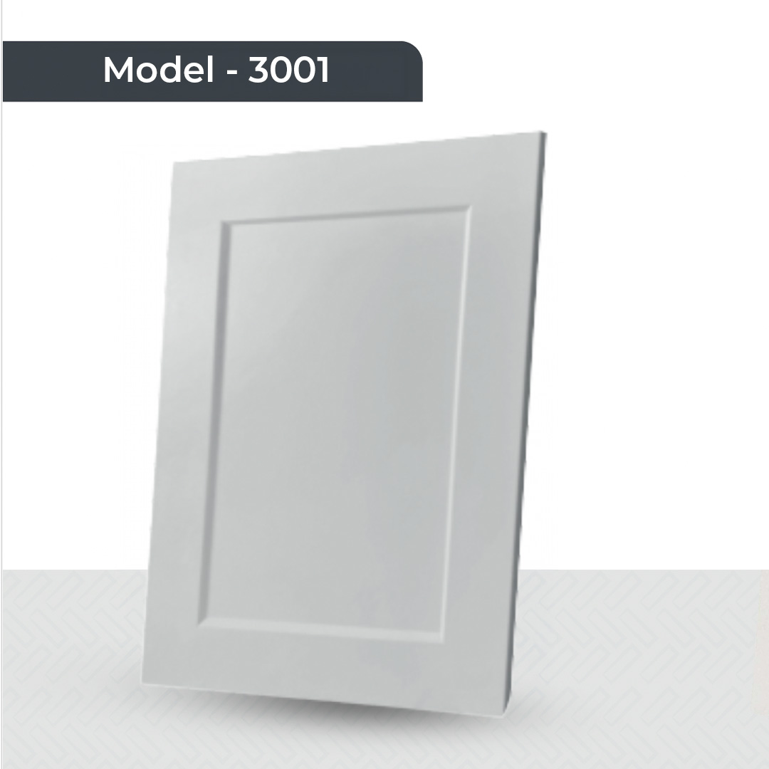 Model - 3001